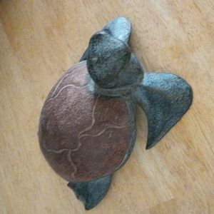 Wood turtle 5 pics